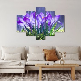Tablou cuflori în ploaie (150x105 cm)