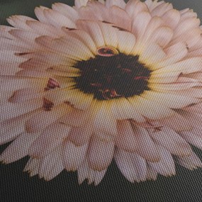 Tablou cu floare portocalie (120x50 cm)