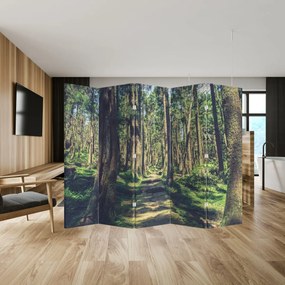 Paravan - Drum între copaci (210x170 cm)