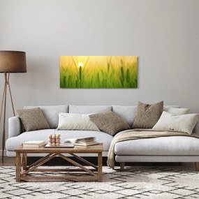 Tablou - Câmp cu cereale (120x50 cm)