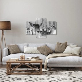 Tablou - Cerbi,alb-negru (90x60 cm)