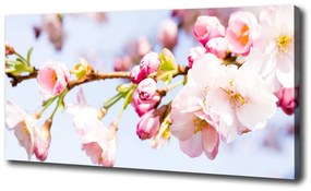Tablou pe pânză canvas Flori de cireș
