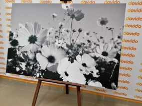 Tablou flori de vară în design alb-negru