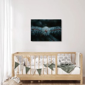 Tablou pe sticlă -Crenguțe ale unui conifer (70x50 cm)