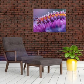 Tablou - Caterpillar (70x50 cm)