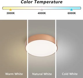 Brilagi - Plafonieră LED POOL LED/24W/230V 3000/4000/6000K Ø 20 cm bronz