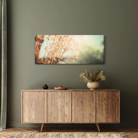 Tablou - Plante după ploaie (120x50 cm)
