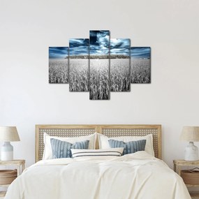 Tablou cu câmp (150x105 cm)