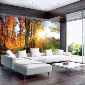 Fototapet - Pădure în toamnă (152,5x104 cm)