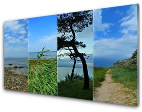 Tablouri acrilice Plaja copac Potecă Peisaj Verde Maro Negru