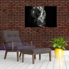 Tablou - Leu (90x60 cm)