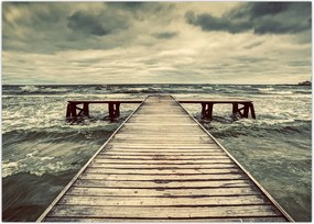 Tablou cu dig din lemn la mare (70x50 cm)