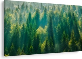 Tablou - Pădurea de brazi (90x60 cm)