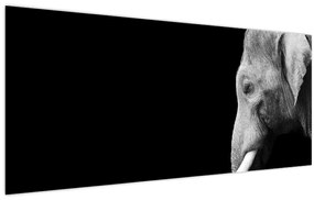 Tablou - Elefant (120x50 cm)