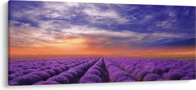 Tablou câmpului cu lavandă (120x50 cm)