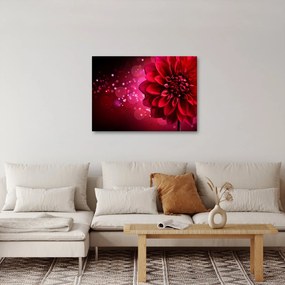 Tablou cu floare roșie (70x50 cm)