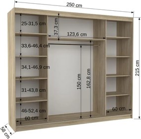 Dulap cu usi glisante si oglinda + iluminare LED, Denis 250 + LED, 250 cmx200 cmx58 cm, ADRK Furniture (Culoare: Alb)
