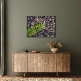 Tablou cu planta verde (70x50 cm)