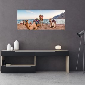 Tablou cu cămile (120x50 cm)