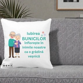 Cadou pentru Bunici - Perna Personalizata Bunicii Iubirea Infloreste Cuplu Senior Teal, 40x40 cm, Alba Mata, Husa Detasabila, Perna Inclusa, BEKZ®