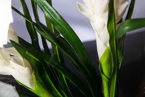 Aranjament floral mediu design LUX OVAL BROMELIA