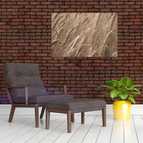 Tablou - Câmpul de aur (90x60 cm)