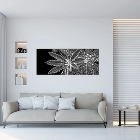 Tablou - Frunze cu picături (120x50 cm)