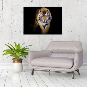 Tablou pe sticlă - Tiger (70x50 cm)