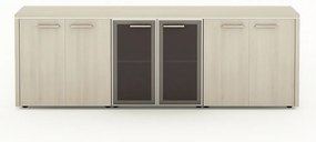 Set dulap TopOffice 12, salcam deschis