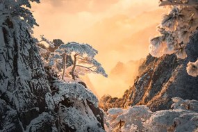 Fotografie Beautiful scene of Huangshan  in, Jackyenjoyphotography