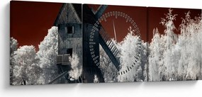 Tablou cu moară (cu ceas) (90x30 cm)