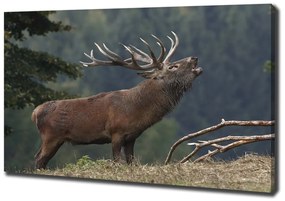 Tablou pe pânză Deer pe deal