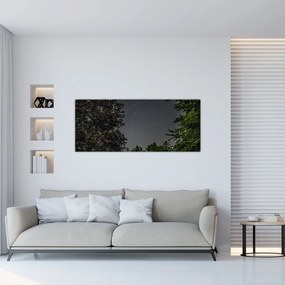 Tablou cu cerul nocturn (120x50 cm), în 40 de alte dimensiuni noi