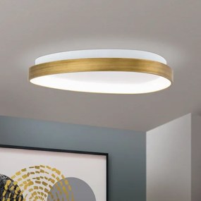 Plafonieră LED Orion DL 7-696/45 CHARLIE LED/35W/230V d. 45 cm auriu
