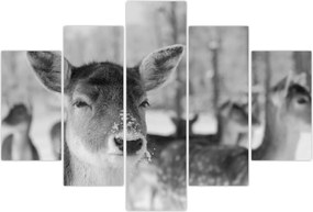 Tablou - Cerbi,alb-negru (150x105 cm)
