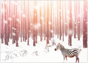 Tablou - Zebra în pădurea înzăpezită (70x50 cm)