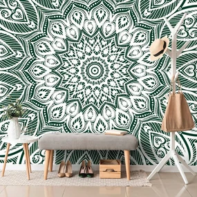 Tapet autoadeziv Mandala de armonie pe fundal verde