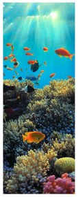 Fotojaluzele R012161R57150 (57x150 cm)