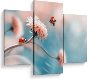 Tablou - Buburuze pe floare (90x60 cm)