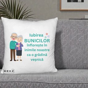 Cadou pentru Bunici - Perna Personalizata Bunicii Iubirea Infloreste Cuplu Senior Teal, 40x40 cm, Alb Pufos, Husa Detasabila, Perna Inclusa, BEKZ®