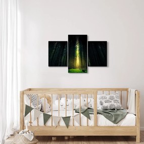 Tablou cu pădurea întunecată (90x60 cm)