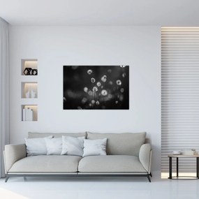 Tablou - Iarba de bumbac în pajiște (90x60 cm)