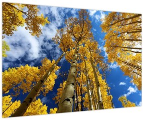 Tablou - Aspen (90x60 cm)