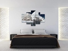 Tablou - Albă ca Zăpada Albă ca Zăpada Copaci (150x105 cm)