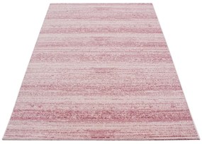 Covor roz deschis 120x170 cm Plus – Ayyildiz Carpets