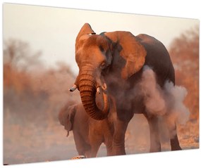 Tablou - Marele elefant african (90x60 cm)
