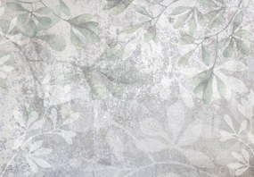 Fototapet - Frunze pe perete (147x102 cm)