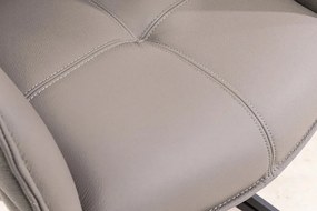 Set 2 scaune Pivotante, Piele Naturala, Taupe, Euphoria