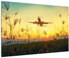 Tablou cu avion zburând (90x60 cm)