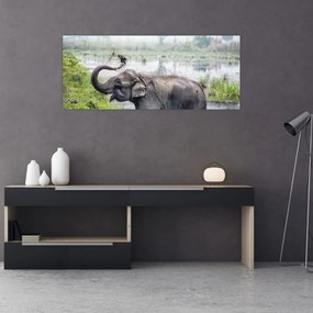 Tablou - Elefant de scăldat (120x50 cm)